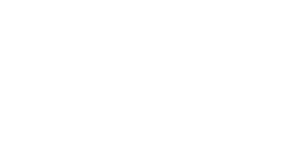 Schwarm
