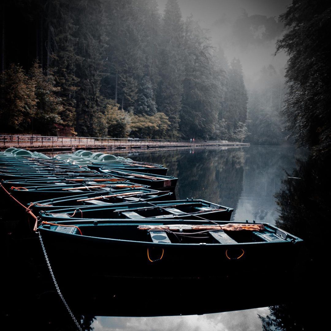 Ruderboote liegen im Nebel am Ufer des Amselsees bei Rathen