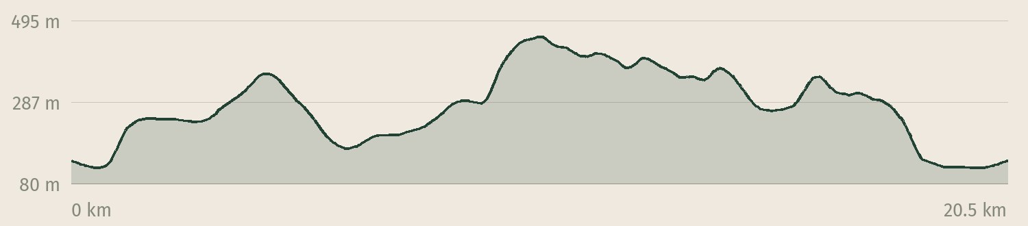 Höhenprofil der Tour Schrammsteine: 725 Höhenmeter Anstieg auf 20,6 km